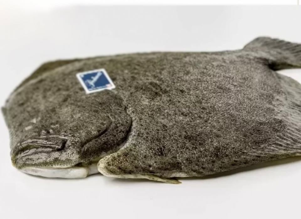 How much is the Fish? Mook Magazin